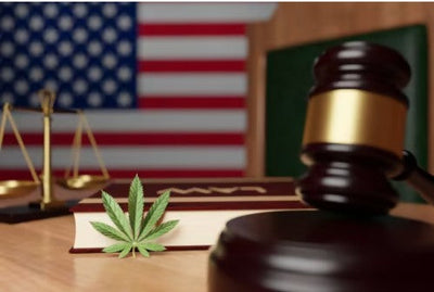2026 Cannabis Industry Rules & Regulations
