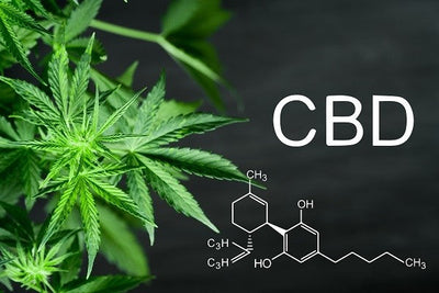 CBD (Cannabidiol)