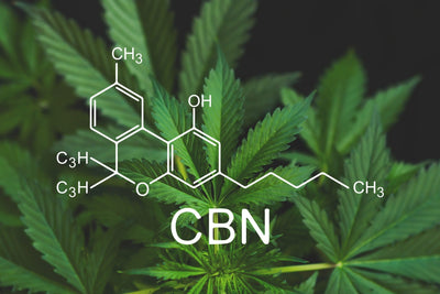 CBN (Cannabinol)