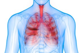 COPD and CBD