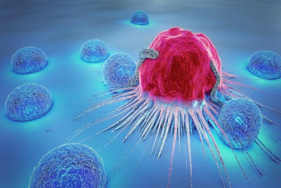 Cancer and Tumors