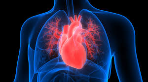 Congestive Heart Failure (CHF)