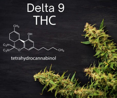 Delta-9 THC