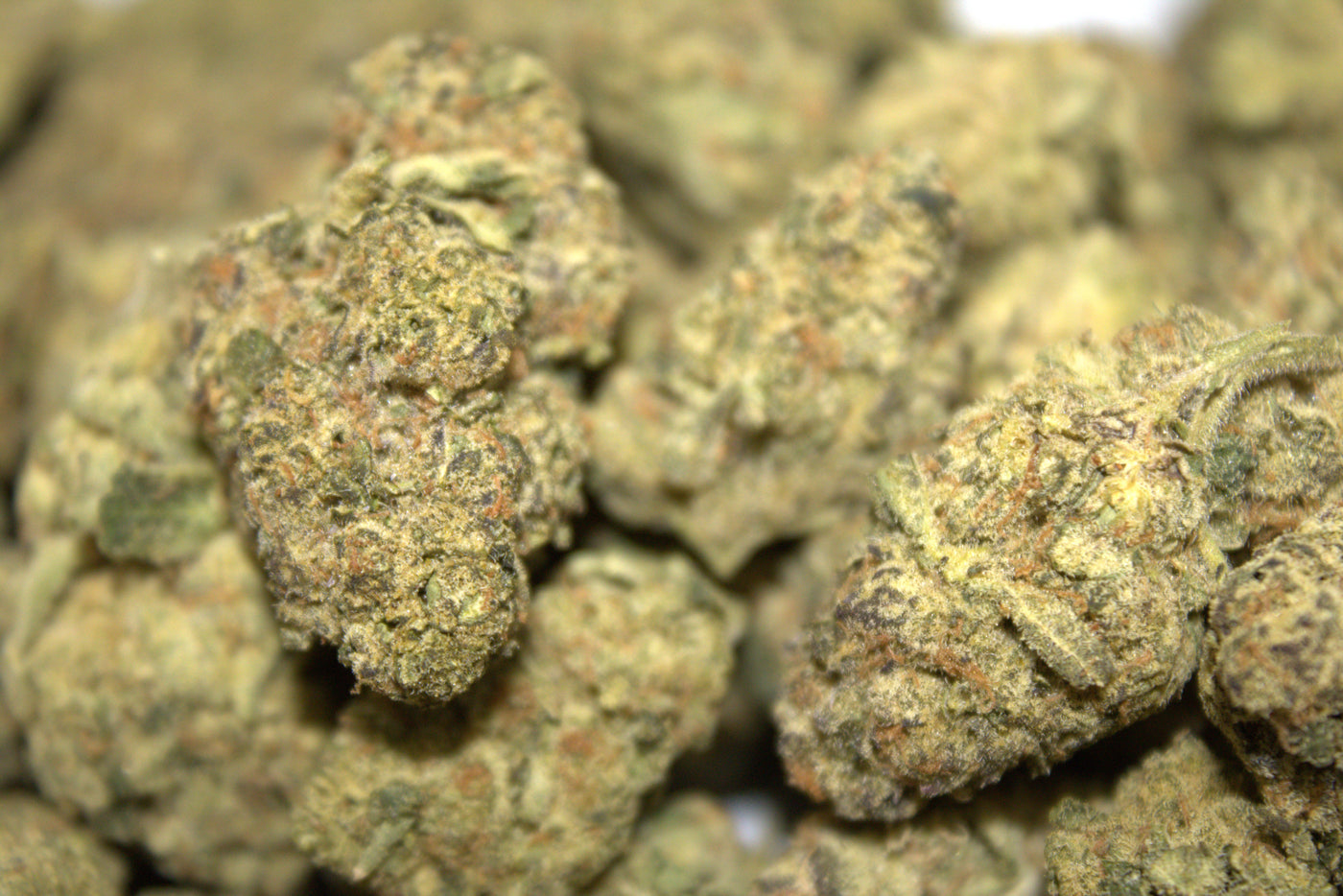THCA Churro (H) - Flower - Hemp House