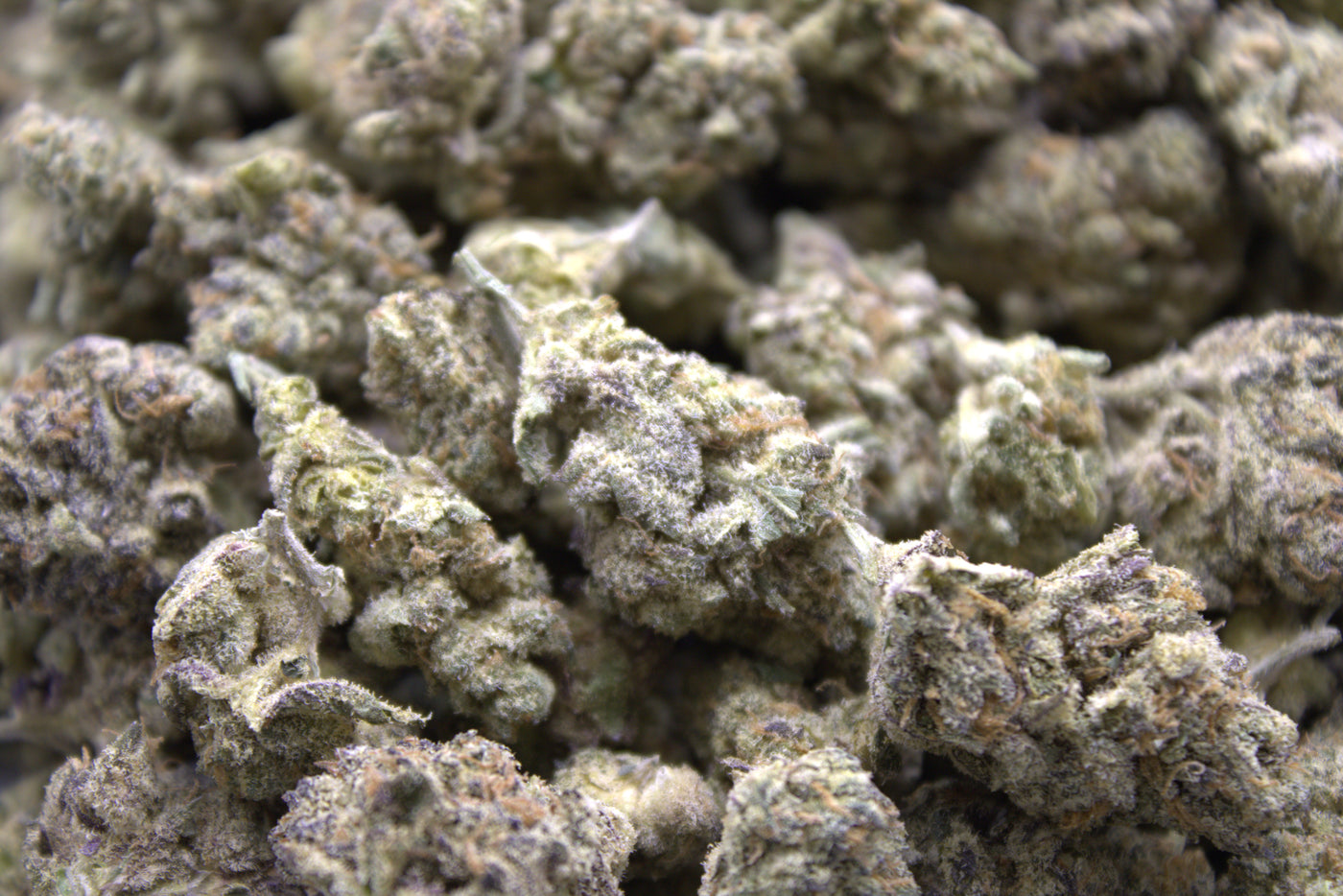 THCA Maui Wowie (S) - Hemp House