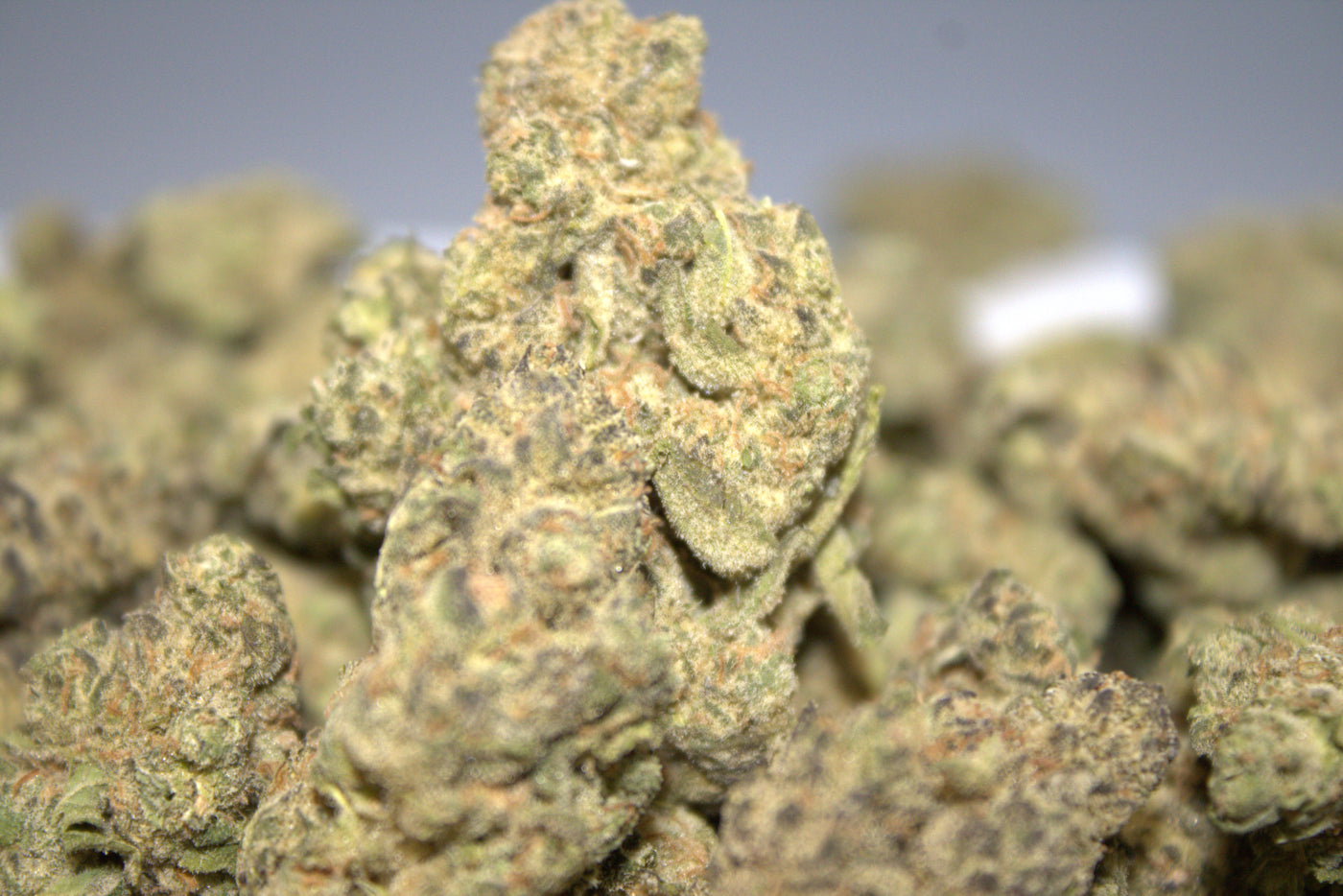 THCA White London Runtz (IH)- Flower - Hemp House